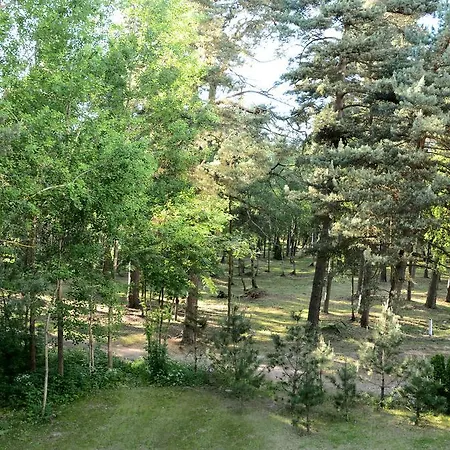 Perliukas Паланга