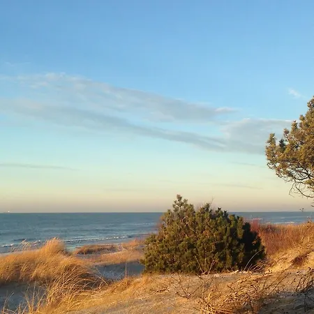 Апартаменты Perliukas *